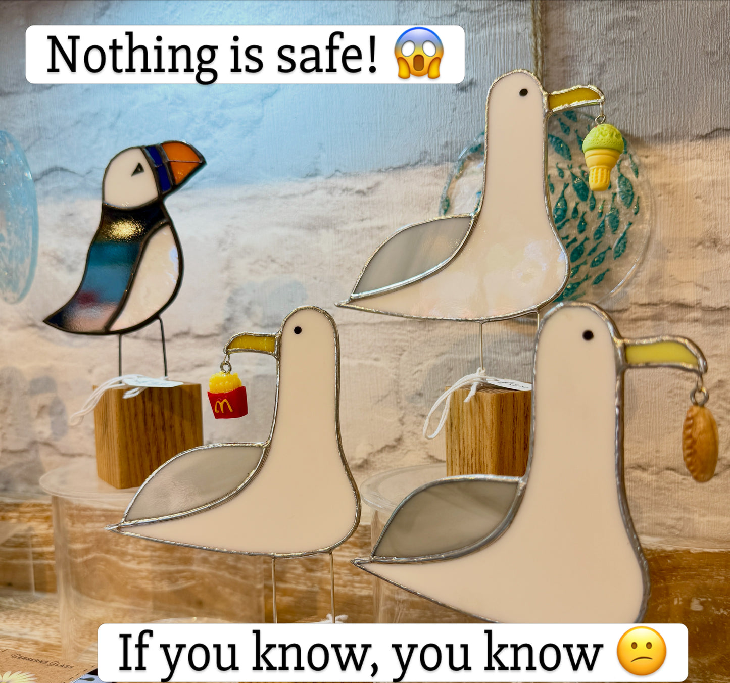 Seagulls and puffins!