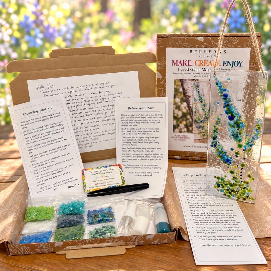 Wild Delphiniums Make at Home Kit