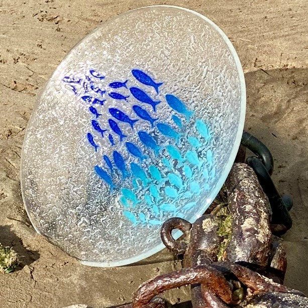 New Stunning Plenty of Fish Shoaling Fish Bowl