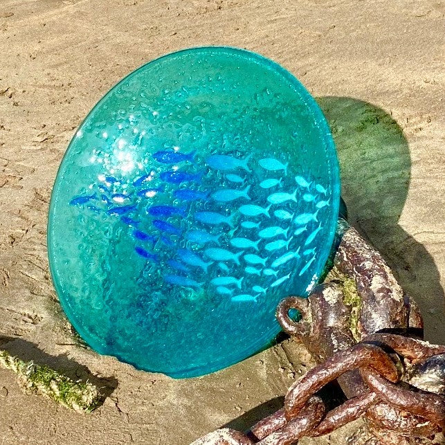 New Stunning Plenty of Fish Shoaling Fish Bowl