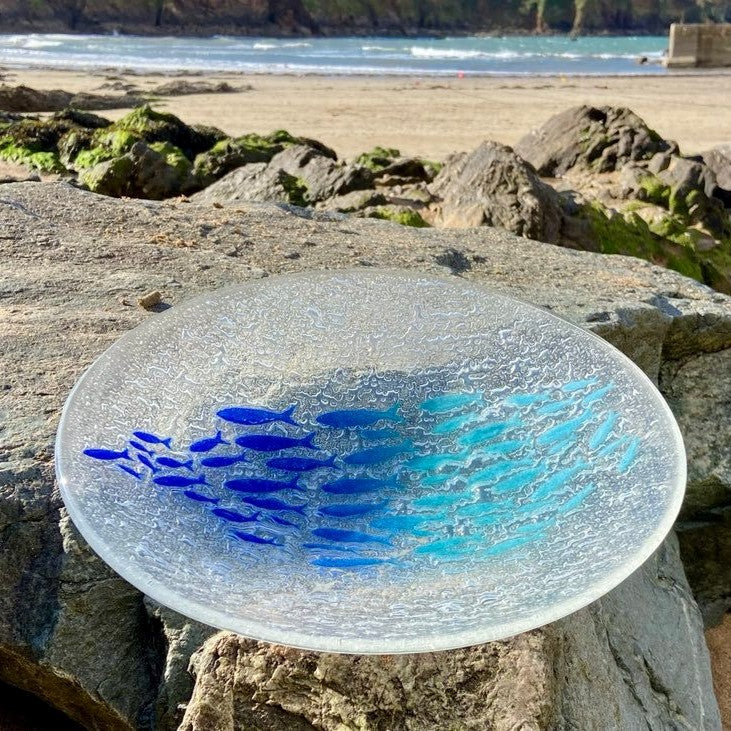 New Stunning Plenty of Fish Shoaling Fish Bowl